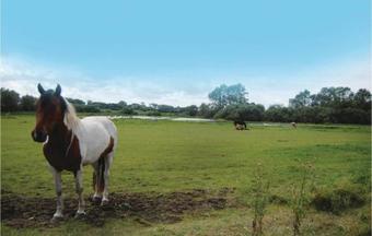 Holiday Home P�len Stege II