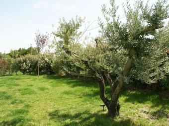 Modern Holiday Home In Piolenc With Pool