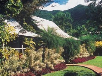 Ferntree Rainforest Lodge