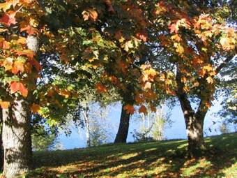 Hostal Mullsj� Folkh�gskola