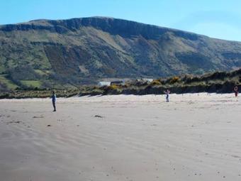 Bed & Breakfast 1 Bayview