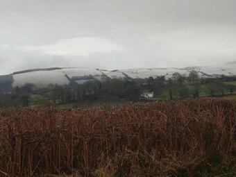 Bed & Breakfast Ty Newydd