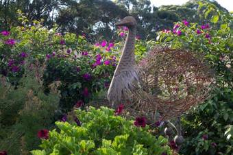 Bed & Breakfast Anderida