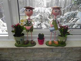 Bio Boutiquehotel Club-austria