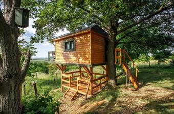 Lodge Di�liget - Z�ld F�szek Lombh�z
