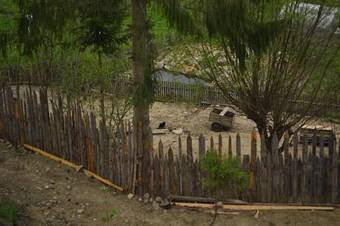 Pensiunea Agroturistica Casa Colini?a