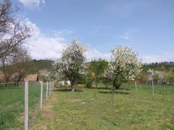 Apartamento Ribizli Vintage Vend�gh�z