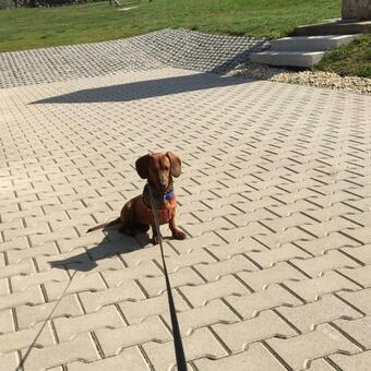 Hostal Pillang� Vend�gh�z