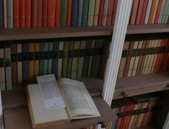 Bed & Breakfast Fogad� A Patkol�kov�cshoz Szeksz�rd