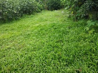 Apartamento Kulswami Cottage