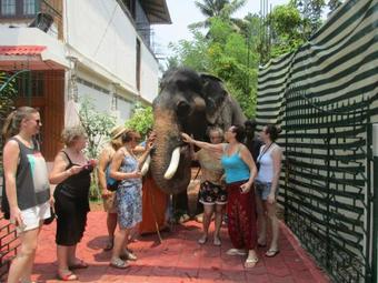 Hotel Blue Waves Beach Residency