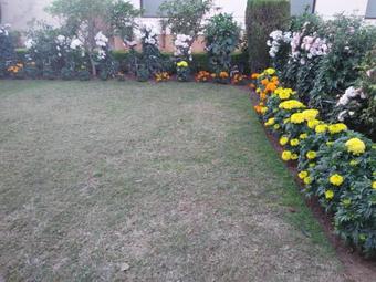 Hostal Maa Trinayani Palace