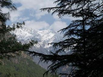 Bed & Breakfast Parvati Kuteer