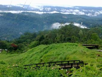 Bed & Breakfast Tea Drops Plantation Villa