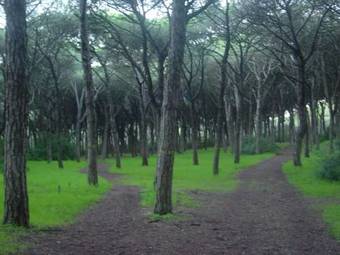 Hostal Centro De Lazer De Sao Joao Da Caparica