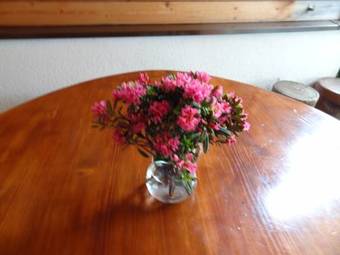 Alpenhotel Residence