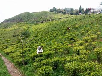 Agroturismo Vamoosetrail Mahal Diram