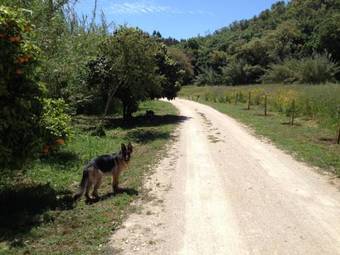 Bed & Breakfast Herdade Quinta Natura Turismo Rural