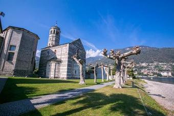 Ver fotos