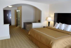 Hotel Best Western Plus Kalamazoo Suites