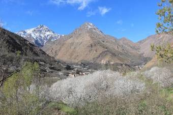 Bed & Breakfast Dar Adouss