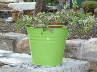 Domus Mea Casa Vacanza