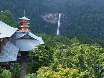 Mminpaku Kodo