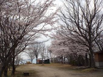 Kurasako Onsen Sakura