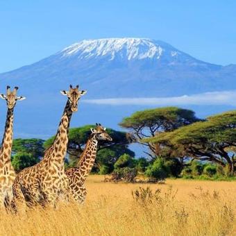 Hotel Teen Ranch Kenya