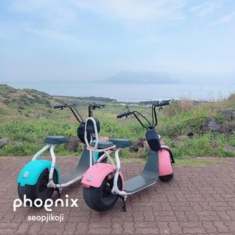 Hotel Phoenix Seopjikoji