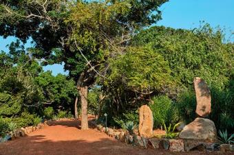 Hotel Wild Coast Tented Lodge - All Inclusive