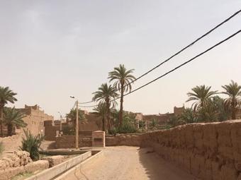 Albergue Auberge L'oasis Mhamid