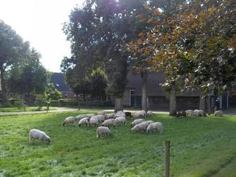 B&B Slaoperij