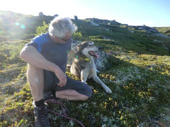 Agroturismo Haukeli Husky Logde B&B