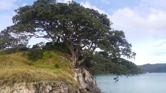 Bed & Breakfast Mulberry Grove Retreat