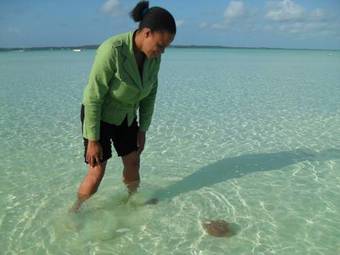 Aparthotel The Sugar Apple B & B