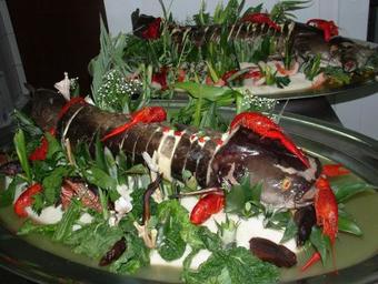 Hostal Hotel Piastowska