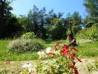 Pokoje Go?cinne Vida