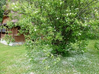 Lodge Drewniany Domek Bb Nad Rzek?