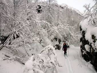 Hotel Vatnahalsen H�yfjellshotell