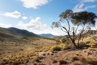 Lodge Pichi Richi Park