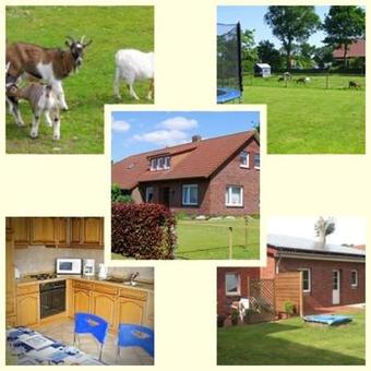 Ferienhaus V�st