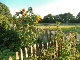 Ver fotos