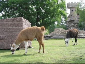 Silberseehaus In Der Freizeitoase