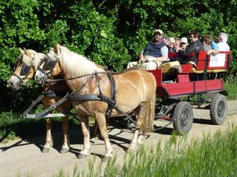 Agroturismo Ferienhof Roge