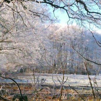 Apartamento Landidyll