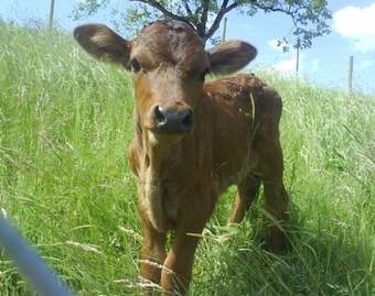 Bed And Breakfast Huobsch�r