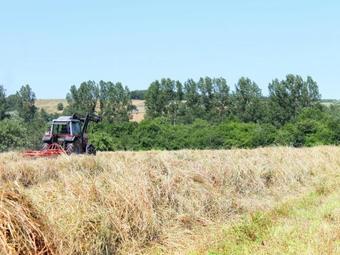 Charming Apartment In Wulften Am Harz Near River