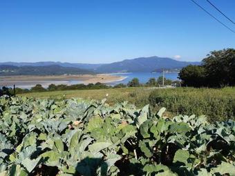 Hostal Pension Bajamar