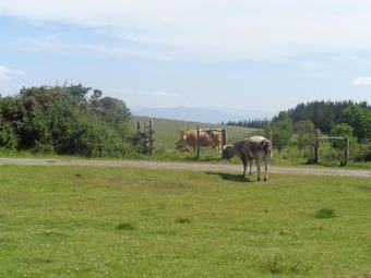 Apartamentos Rurales San Esteban De Los Buitres